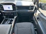 2024 F-150 Thumbnail 13