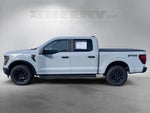 2024 F-150 Thumbnail 14