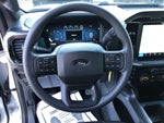 2024 F-150 Thumbnail 20