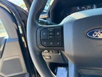 2024 F-150 Thumbnail 8