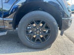 2024 F-150 Thumbnail 11