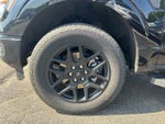 2024 F-150 Thumbnail 13