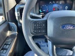 2025 F-150 Thumbnail 11