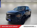 2025 F-150 Thumbnail 1