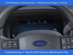 2025 F-150 Thumbnail 11