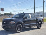 2025 F-150 Thumbnail 7