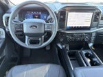 2025 F-150 Thumbnail 13