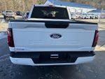 2025 F-150 Thumbnail 6