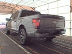 2025 F-150 Thumbnail 3