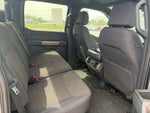 2024 F-150 Thumbnail 10