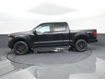 2024 F-150 Thumbnail 5