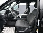 2024 F-150 Thumbnail 11