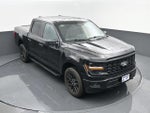 2024 F-150 Thumbnail 18