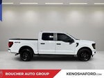2024 F-150 Thumbnail 4