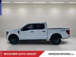 2024 F-150 Thumbnail 8
