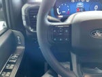 2024 F-150 Thumbnail 11