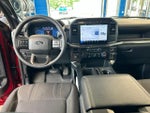 2024 F-150 Thumbnail 14