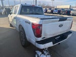 2024 F-150 Thumbnail 4