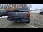 2024 F-150 Thumbnail 6