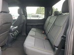 2024 F-150 Thumbnail 18