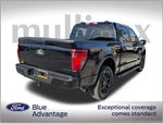 2024 F-150 Thumbnail 4