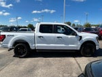 2024 F-150 Thumbnail 8