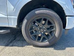 2024 F-150 Thumbnail 10