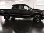 2025 F-150 Thumbnail 8