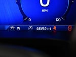 2025 F-150 Thumbnail 17