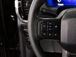 2025 F-150 Thumbnail 19