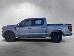 2025 F-150 Thumbnail 13