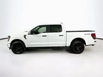 2025 F-150 Thumbnail 3