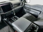 2025 F-150 Thumbnail 11