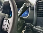 2025 F-150 Thumbnail 19