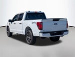 2025 F-150 Thumbnail 7