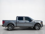 2025 F-150 Thumbnail 8