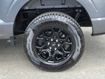 2025 F-150 Thumbnail 5
