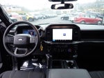 2025 F-150 Thumbnail 20