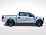 2025 F-150 Thumbnail 8