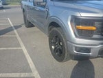 2024 F-150 Thumbnail 7