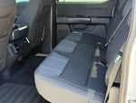 2024 F-150 Thumbnail 8