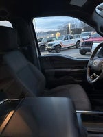 2024 F-150 Thumbnail 9