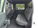 2024 F-150 Thumbnail 4