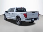 2025 F-150 Thumbnail 12