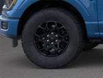 2025 F-150 Thumbnail 19