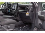 2025 F-150 Thumbnail 10