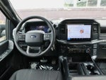 2025 F-150 Thumbnail 15