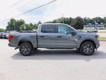 2025 F-150 Thumbnail 8