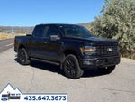 2025 F-150 Thumbnail 8