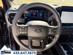 2025 F-150 Thumbnail 19
